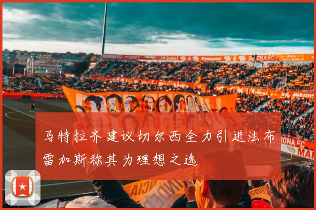马特拉齐建议切尔西全力引进法布雷加斯称其为理想之选